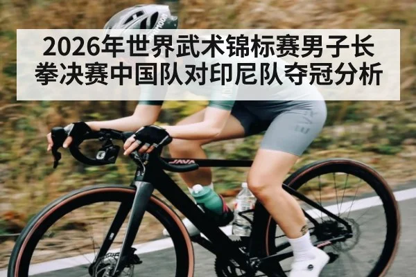 2026年世界武术锦标赛男子长拳决赛中国队对印尼队夺冠分析